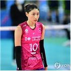 김연경,악플러,명예훼손