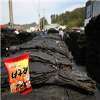 다시마,너구리,완도