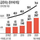 종부세,올해,종부세액,지난해,급증,국세청