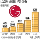 배터리,LG화학,중국,모델,테슬라,세계,전기차,생산,모델3,시장