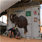 코끼리,캄보디아,파키스탄,보호구,동물원