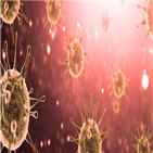 코로나19,혈액,미국,지난해,항체