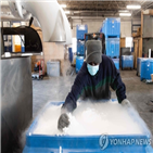 북한,백신,달러,중국