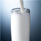 우유,섭취,빈속,영양소,경우,단백질