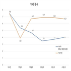 보타,통증,투여군