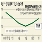 가격,농산물,대비,연휴,출하량,오이,전주,지수,상추