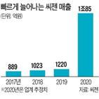 씨젠,회사,내년,매출,검사,1조