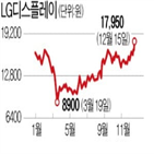 내년,LG디스플레이,패널