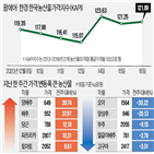 가격,배추,대비,농산물,전주,한파