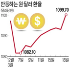 달러,환율,코로나19,이날,개인