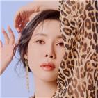 화보,진행,모습