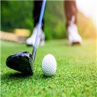 골프장,수도권,이상,이번,금지,조치