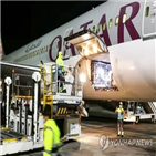 백신,코로나19,접종