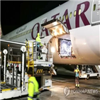 백신,코로나19,접종,카타르