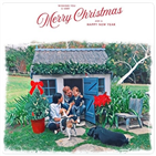 왕자,해리,부부