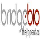 브릿지바이오,매입,자사주