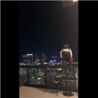 호텔,남성,낙하산,미국