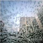 내륙,이상,경북