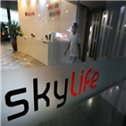 의견,현대,인수,KT스카이라이프