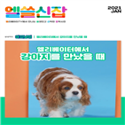 강아지,삼성카드,캠페인