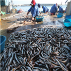 분야,해수부,7000만,어촌,수준