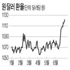 가격,기업,세금,상승,생산자,부과,탄력성,환율