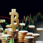 비트코인,테슬라,미국