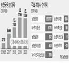 순이익,전년,농협금융,지난해,금융,기록,이익,대비