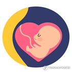 심혈관,건강,임신,어머니,자녀,연구팀