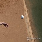 한화,파악,글쓴이,사실관계,선수