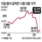 니켈,배터리,중국,니켈매트