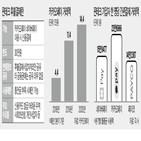 후불결제,카카오페이,신용평가모형,사업,중금리,데이터