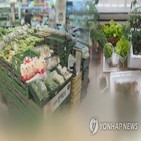 물가,확대,가능성,여건,회복,인플레이션