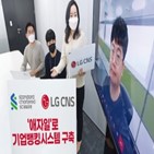 애자일,방식,프로젝트,LG,제일은행,개발,은행