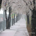 강원,산지,앞바다