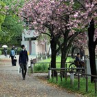 확진,일본,일주일