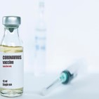 백신,여권,세계보건기구