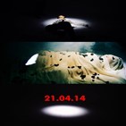 다운,트레일러,앨범