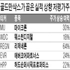 주가,골드만삭스,종목,수준,최근