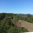 토지,소유,외국인,중국인,증가