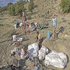 티라노사우루스,화석,발견,국가기념물,그랜드,연구