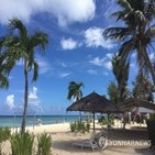 운항,사이판,노선,인천,재개,국제선