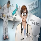 경상환자,진료비,진단서,진료,개선,방안,과실,대인,자동차보험,운전자