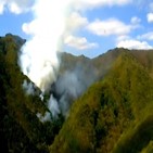 산림당국,화재