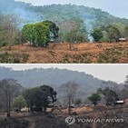 미얀마군,합의,전초기지,아세안,태국,보도,반군,고려,안정