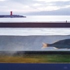 바다,수족관,물고기,사진