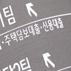 차주,소득,가계부채,만기,적용,올해,경우