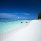 사이판,노선,여행경보,운항