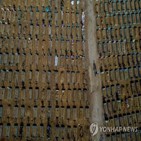 확산,사망자,브라질,40만,확진