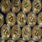 상승,비트코인,가격